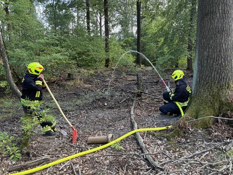 <p>Glutnester im Blick: Zwischen den verlegten Schlauchleitungen gehen Einsatzkr&auml;fte gezielt gegen angenommene Glutnester auf dem Waldboden vor.</p>