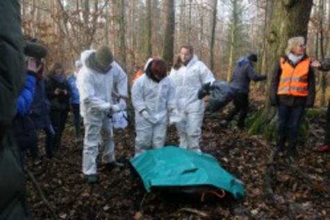 ASP 2019 &Uuml;bung - Bergung Fallwildsuche