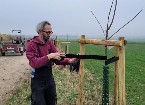 <p>Bei der Pflanzaktion des Heimatvereins &bdquo;Grethener St&ouml;rche&ldquo; entsteht ein neuer Lebensraum f&uuml;r Tiere und Pflanzen entlang des Feldwegs.</p>
