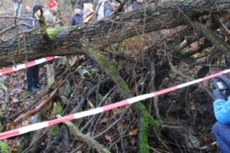ASP 2019 &Uuml;bung - Fundstelle Fallwild