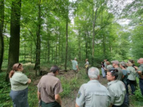 Fachexkursion der Kontrolleure im Steinbacher Wald